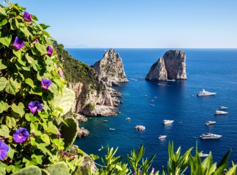 Isle of Capri Tour